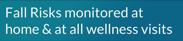 Fall Risks monitored at home & at all wellness visits